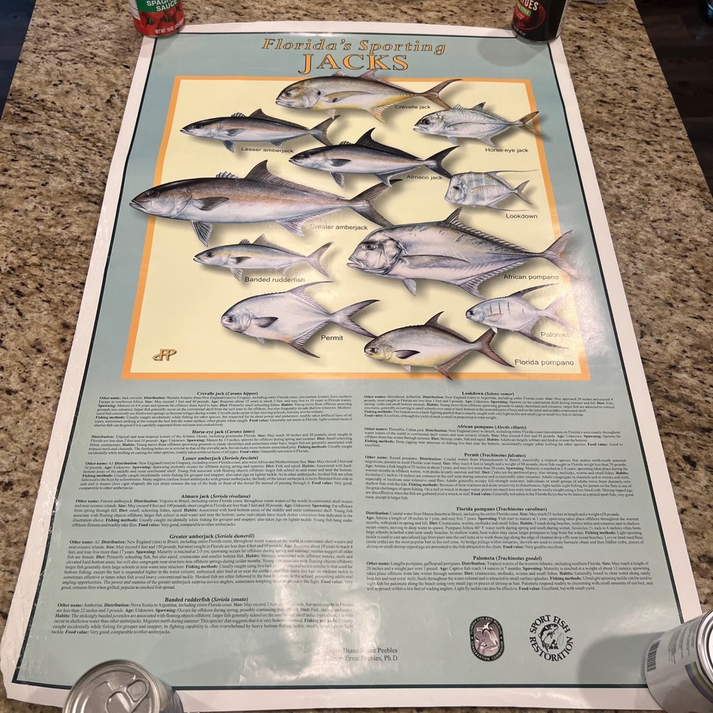 Floridas Sporting Jacks Fish Poster Diane Rome Peebles Educational Art Chart